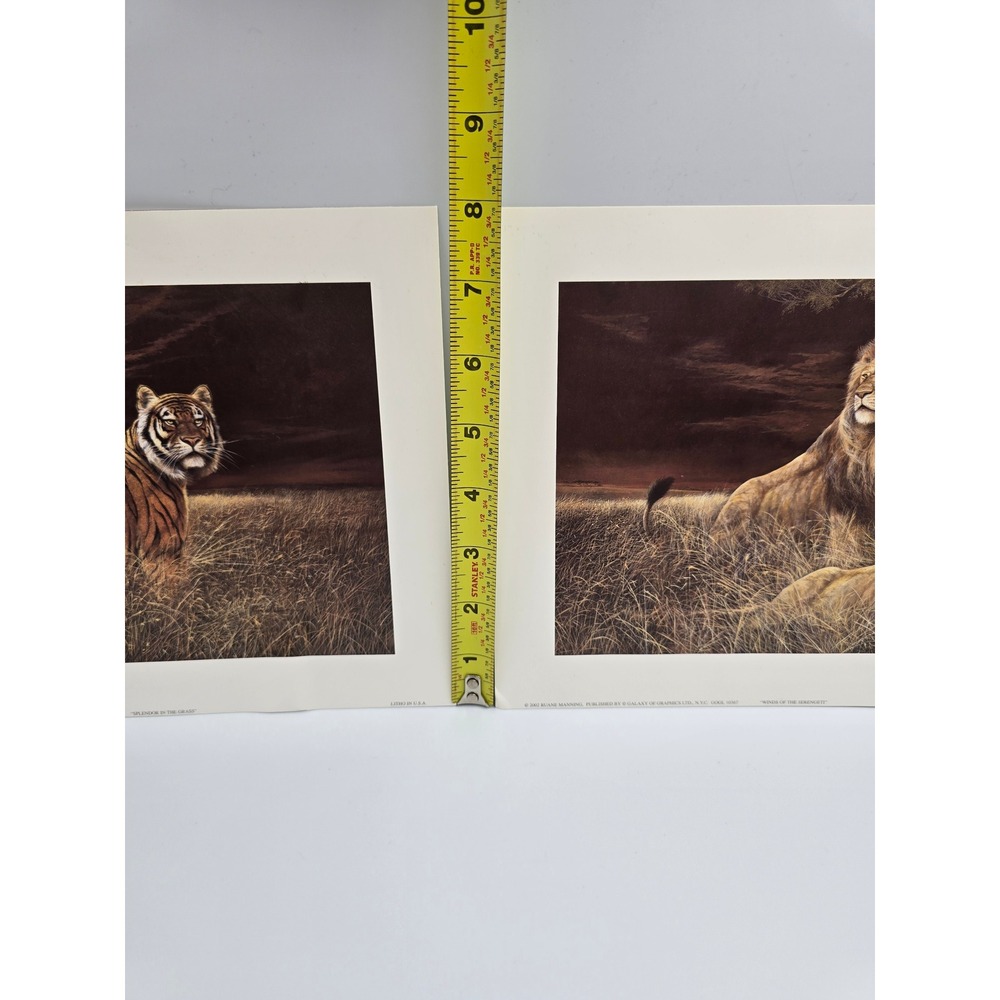 Ruane Manning Wildlife Art Prints Lion Tiger‎ Set Litho USA - Picture 8 of 11